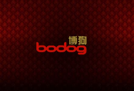 bodog nation jobs|Bodog Nation to Launch Recruitment Service in Asia .